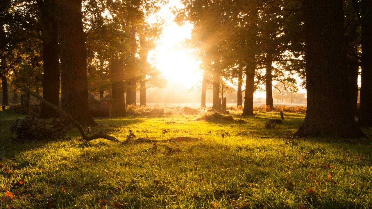 The Government IS OBSESSED With Making Britain&rsquo;s Countryside &lsquo;Less White&rsquo;