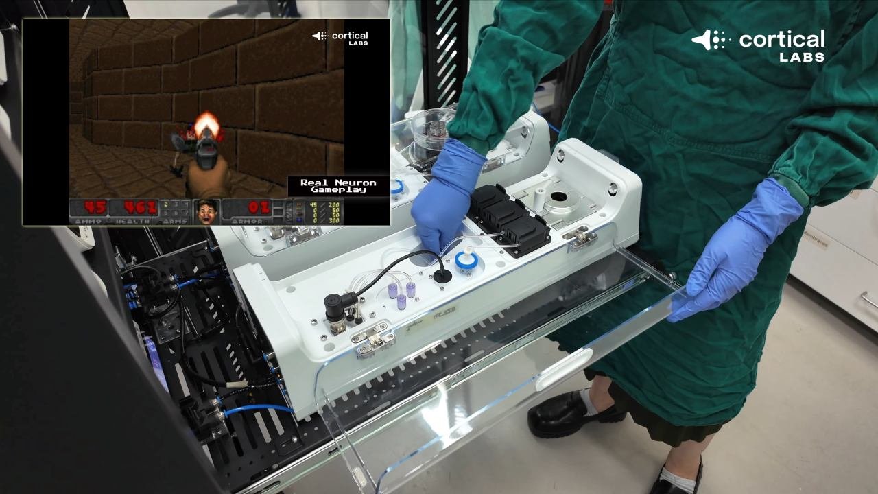 Scientists TRAIN Lab-Grown HUMAN BRAIN Cells To Play DOOM - modernity