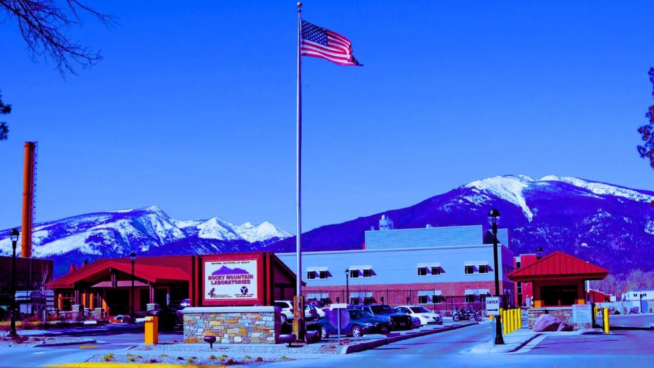 NIH Scientists Deliberately Infect Mammals With Deadly Pandemic H5N1 Bird Flu in Montana