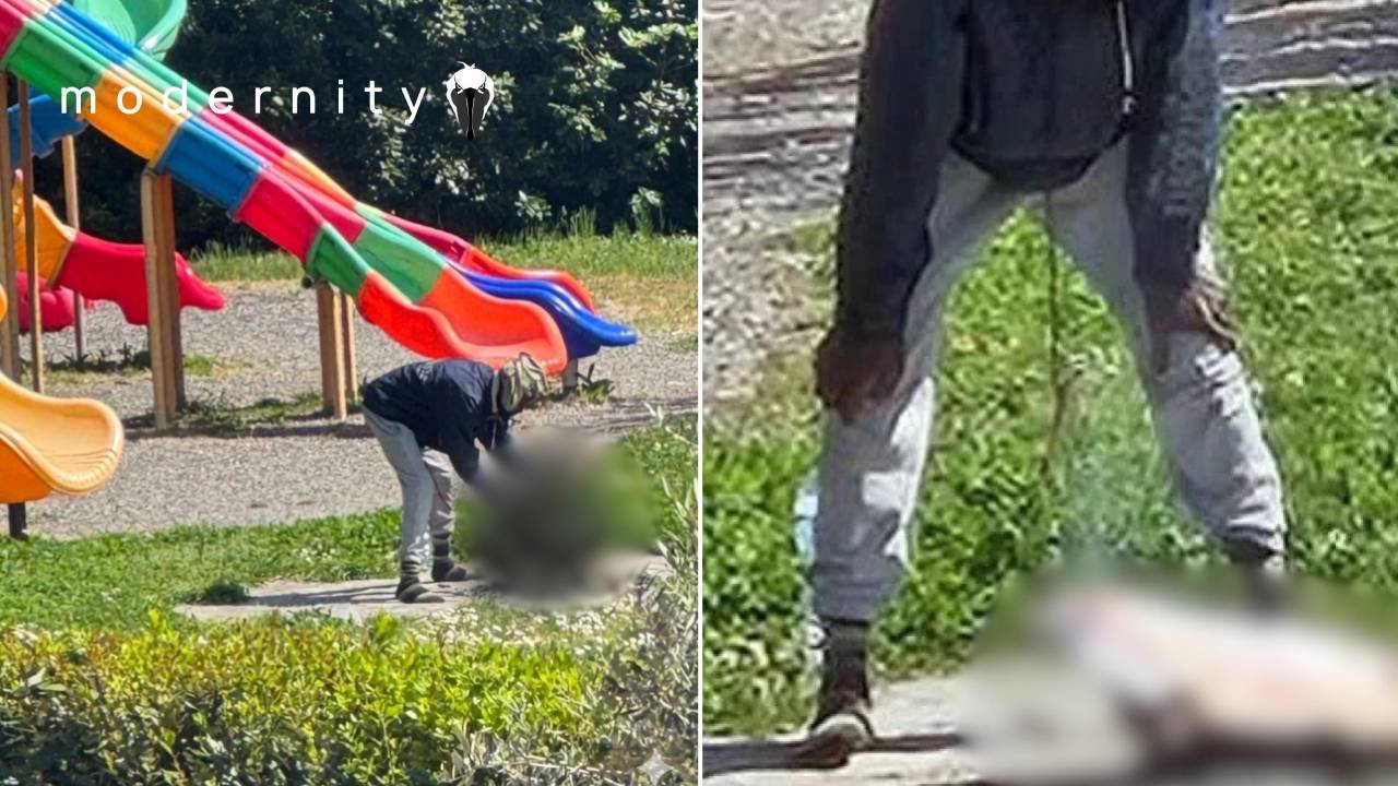 FURY As Nigerian Migrant Caught COOKING CAT In Public Park Next To CHILDREN’S Playground
