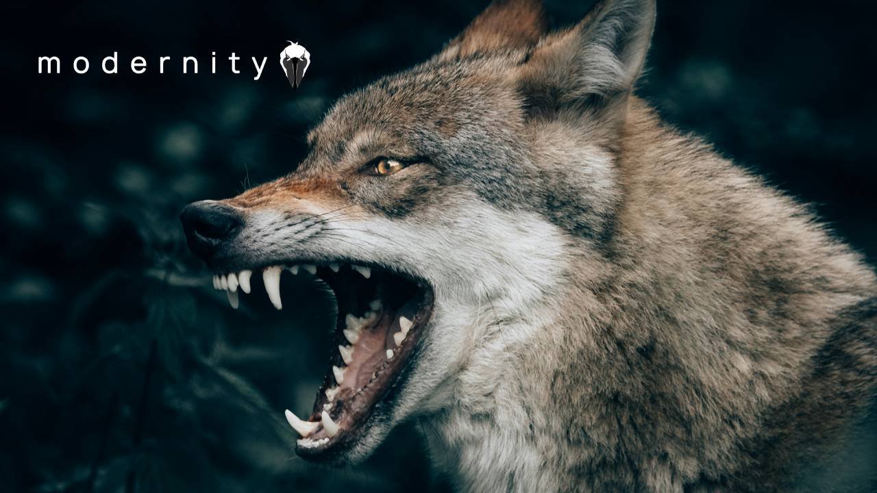 What The Hell Is Wrong With Modern Parents? - modernity