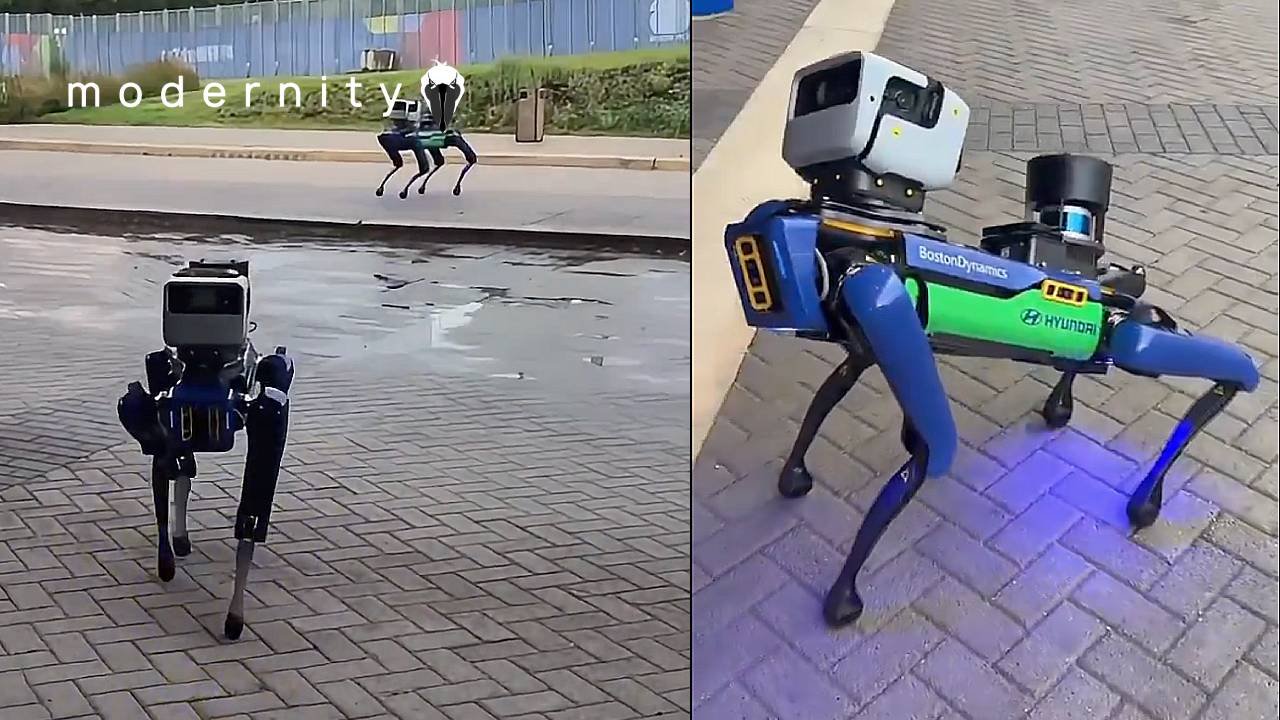 Aww Look At The Cute Dancing Robot Police State Surveillance Dog…