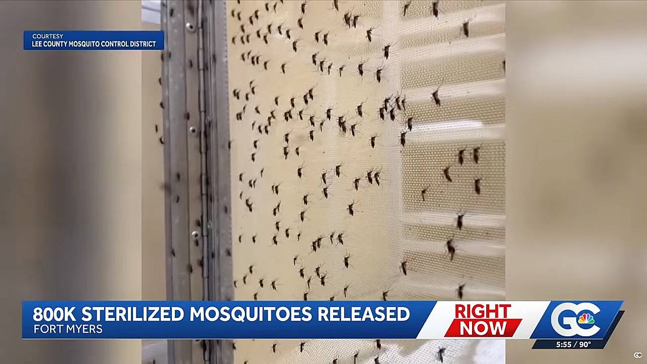 Florida Drops 800,000 Irradiated Mosquitoes from Drones Over Citizens (Video)