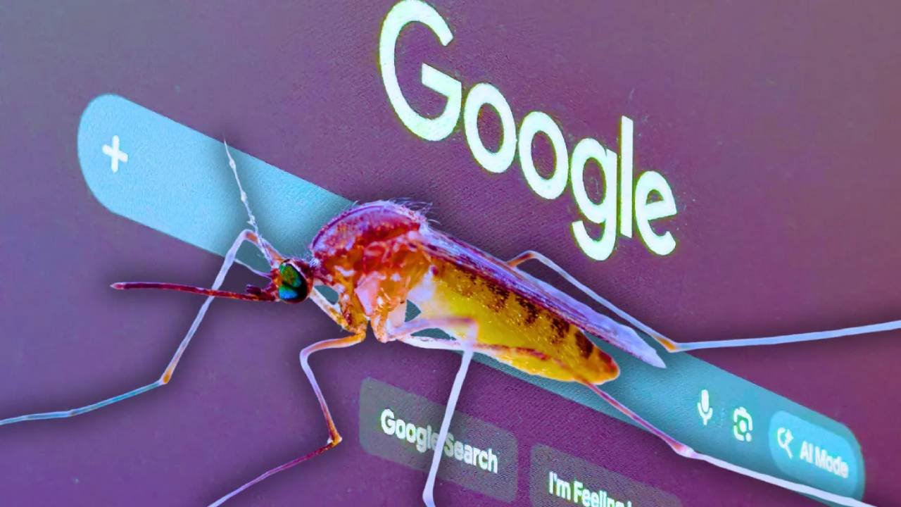 Google To Release 64 Million Bacteria-Infected Mosquitoes Across California and Florida
